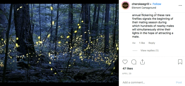 Screen Shot 2019-05-30 at 8.26.54 PM